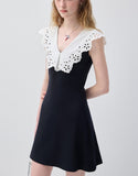 DR236144/Pre-order