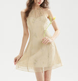DR236208/Pre-order