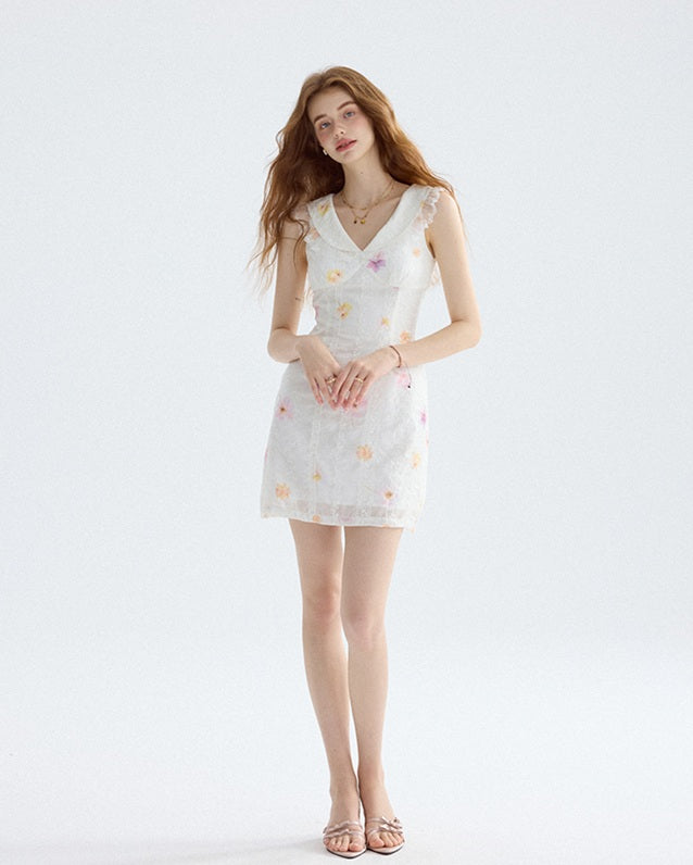 DR235588/Pre-order