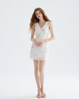 DR235588/Pre-order