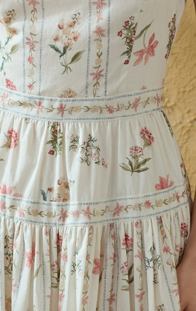 DR236142/Pre-order