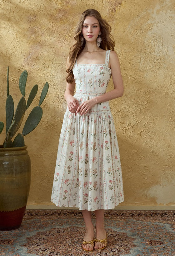 DR236142/Pre-order