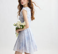 DR235157/Pre-order