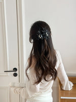 HA25613/Pre-order