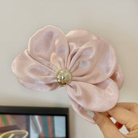 HA25262/Pre-order