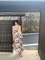 DR235247/Pre-order