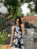 DR235648/Pre-order