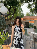 DR235648/Pre-order