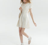 DR236162/Pre-order