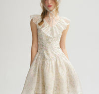 DR235064/Pre-order
