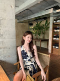 DR236240/Pre-order