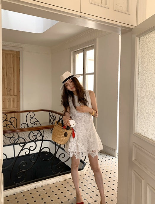 DR235623/Pre-order
