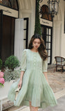 DR236262/Pre-order