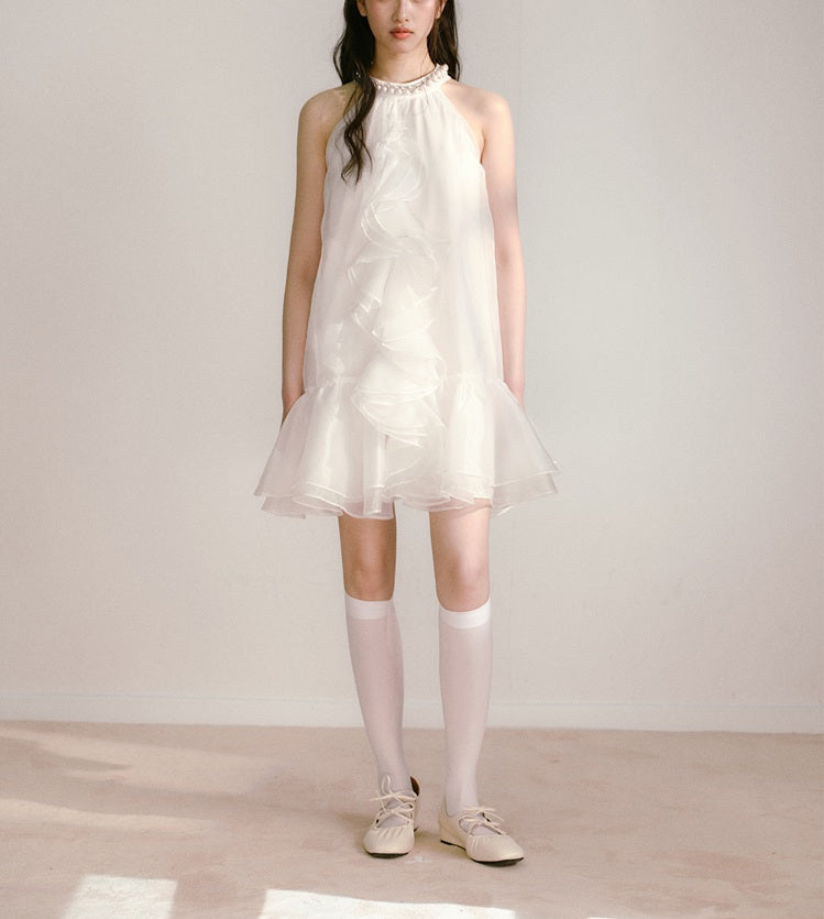 DR235109/Pre-order