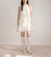 DR235109/Pre-order