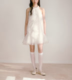 DR235109/Pre-order
