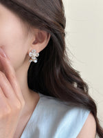 ER25291/Pre-order