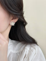 ER25131/Pre-order