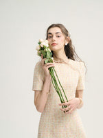 DR235627/Pre-order