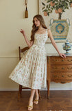 DR236142/Pre-order