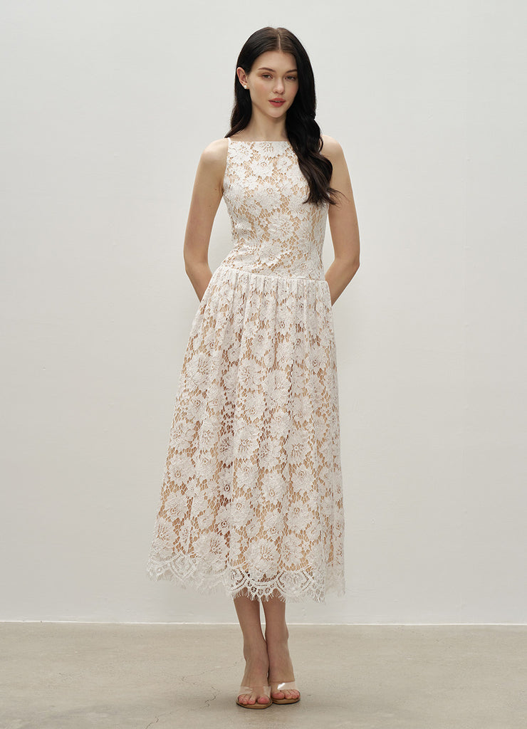 DR236302/Pre-order