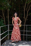 DR236218/Pre-order