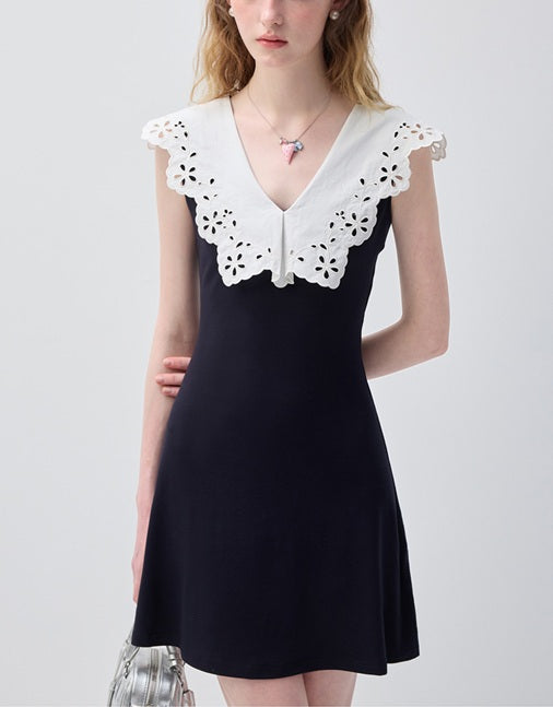 DR236144/Pre-order
