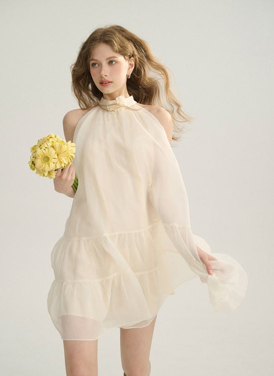 DR23711/Pre-order 4 colours