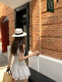 DR235623/Pre-order