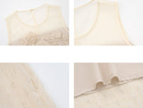 DR236210/Pre-order