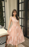 DR236263/Pre-order