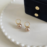 ER26281/Pre-order