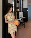 DR235117YL/Pre-order