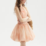 DR236222/Pre-order