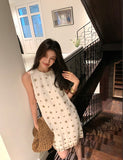 DR235584/Pre-order