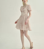 DR23787/Pre-order 2 colours