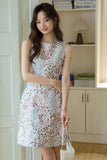 DR235637/Pre-order