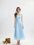 DR235599/Pre-order