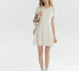 DR236162/Pre-order