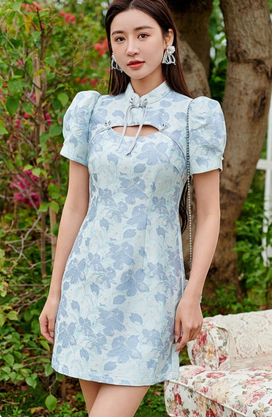 DR232511/Pre-order