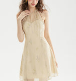 DR236208/Pre-order