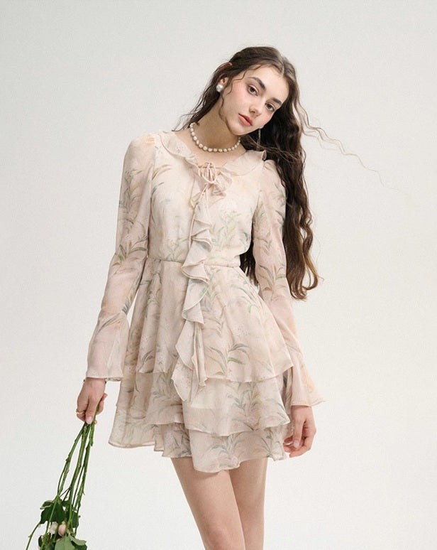 DR235586/Pre-order