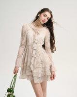 DR235586/Pre-order