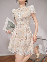 DR235638/Pre-order