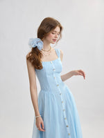 DR235599/Pre-order