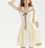DR236221/Pre-order