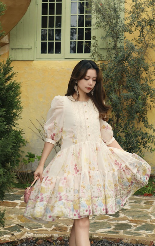 DR236248/Pre-order