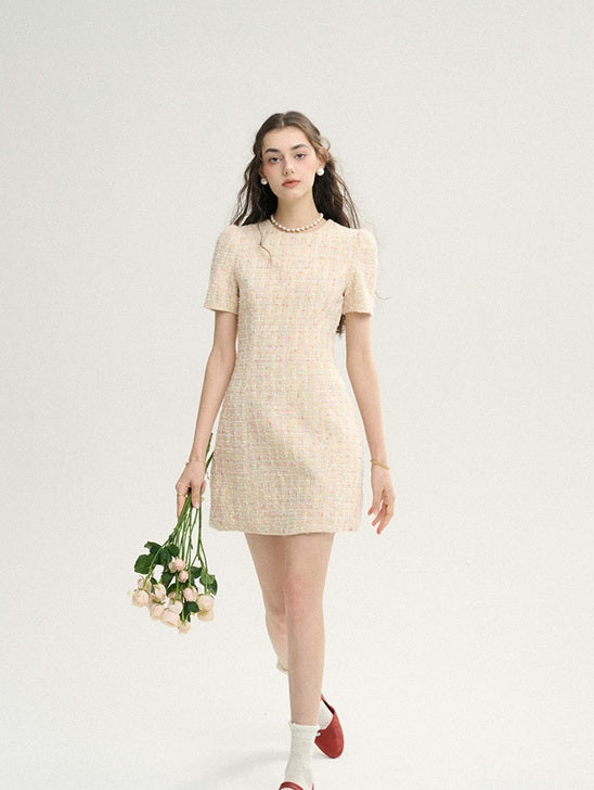 DR235627/Pre-order
