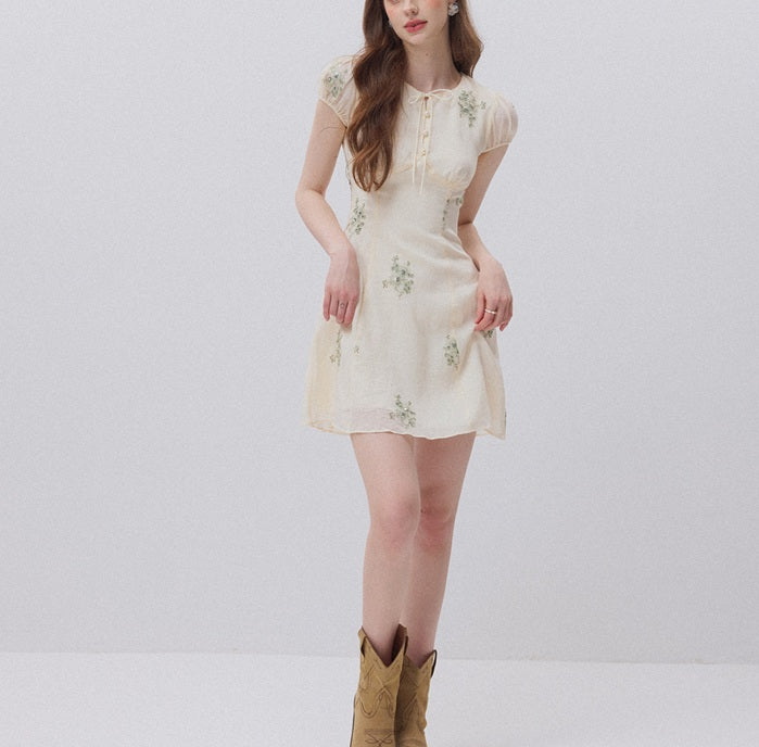 DR236112/Pre-order