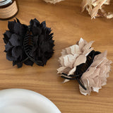 HA25228/Pre-order